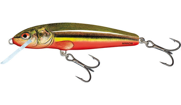 Chargez l'image dans la visionneuse de la galerie, Salmo Minnow Flottant - 5cm
