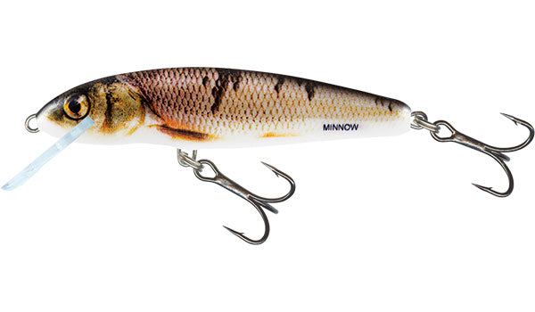 Chargez l'image dans la visionneuse de la galerie, Salmo Minnow Flottant - 5cm
