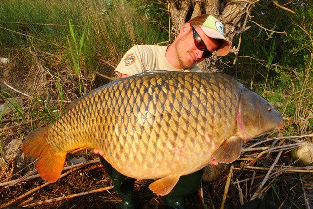Laden Sie das Bild in Galerie -Viewer, Ib Carptrack Monster/Liver Boilie
