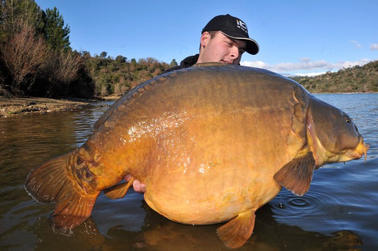 Ib Carptrack Monster-Liver Boilie Acque Fredde (Cold Water)