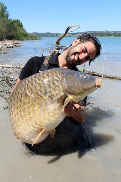 Bouillette Ib Carptrack Big Fish