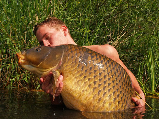 Bouillette Ib Carptrack Big Fish
