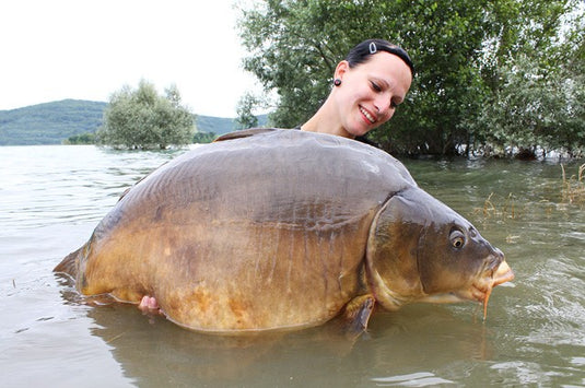Bouillette Ib Carptrack Big Fish