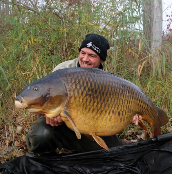 Chargez l'image dans la visionneuse de la galerie, Bouillette Ib Carptrack Big Fish
