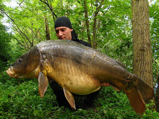 Ib Carptrack Osmotic Oriental Spice Mix