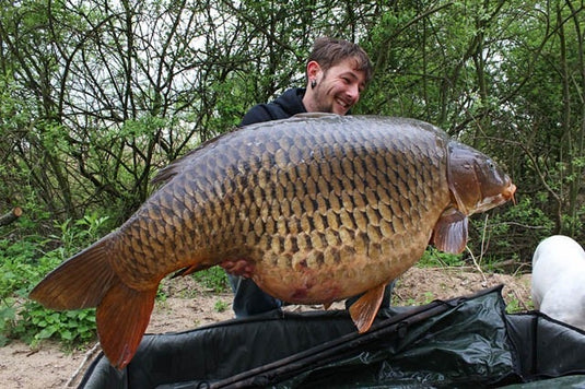 IB Carptrack Worm Up Mix - Base Mix Carpfishing