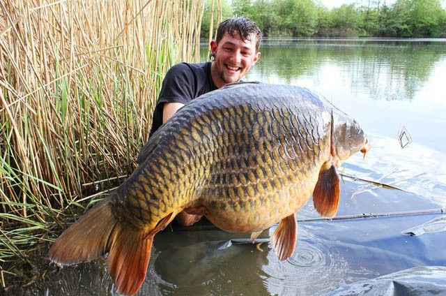 Laden Sie das Bild in Galerie -Viewer, IB Carptrack Worm Up Mix - Base Mix Carpfishing
