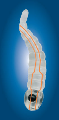 Carp'r'us Mouthsnagger "Shorty" - Dragonfly Larva