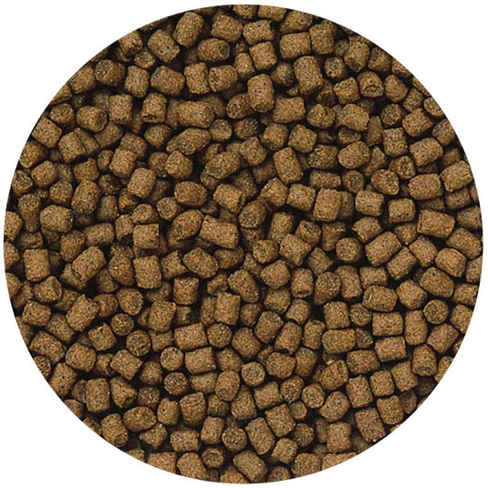 Hikari Lionhead - Mangime Affondante Premium per Pesci Rossi di Pregio