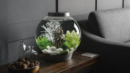 biOrb Acquario CLASSIC 15 MCR Bianco