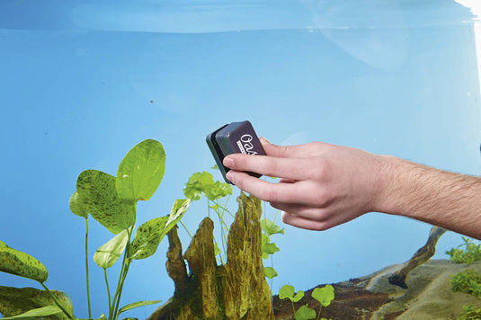 Oase Calamita Puliscivetro - Magnete per Vetri Acquario