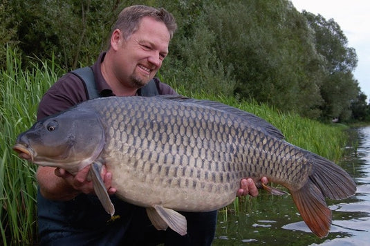 Bouillette Ib Carptrack Big Fish