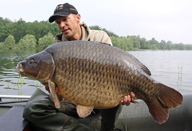 Laden Sie das Bild in Galerie -Viewer, Ib Carptrack Monster/Liver Boilie
