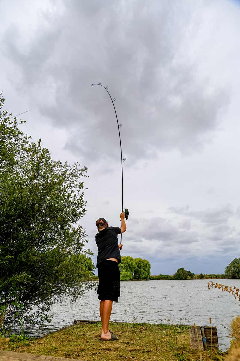 Carica immagine in Galleria Viewer, Fox Horizon X5 Black Rods - Canne da Carpfishing
