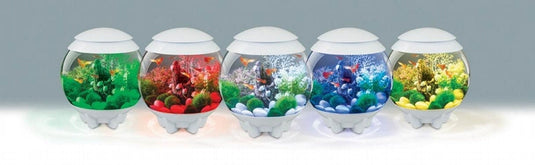 biOrb Acquario CLASSIC 15 MCR Bianco