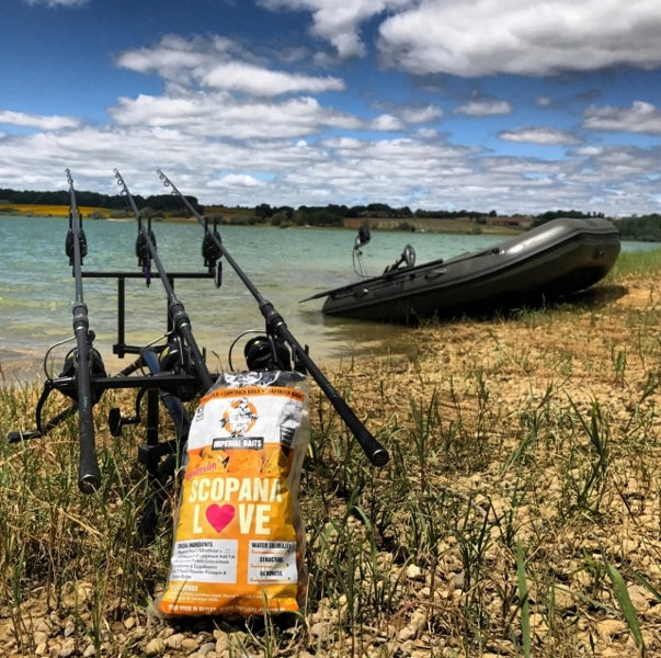 Laden Sie das Bild in Galerie -Viewer, Ib Carptrack Scopana-Love Boilies
