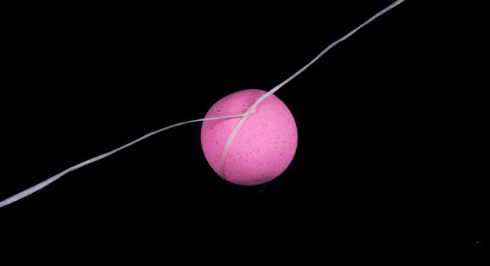 Carica immagine in Galleria Viewer, Kevin Nash Waxed Bait Floss
