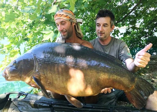Laden Sie das Bild in Galerie -Viewer, Ib Carptrack Scopana-Love Boilies
