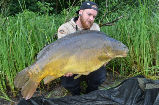 Ib Carptrack Scopana-Love Boilies