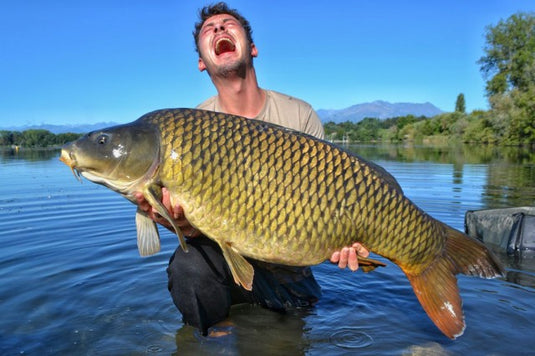 Ib Carptrack Scopana-Love Boilies