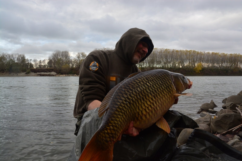 Laden Sie das Bild in Galerie -Viewer, Ib Carptrack Scopana-Love Boilies
