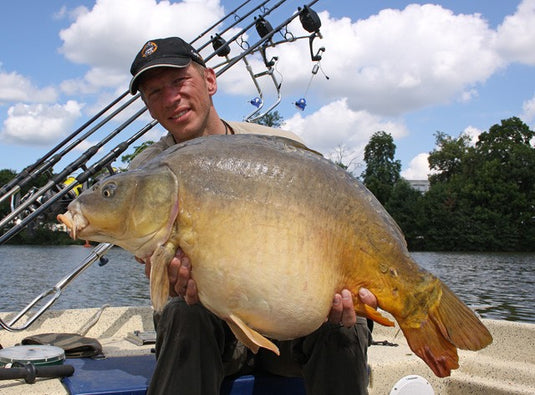 Ib Carptrack Amino Gel Elite Strawberry - 100gr