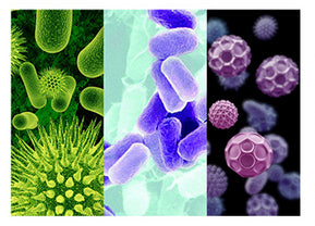 CHIHIROS DOCTOR NOUVELLE 4ÈME SÉRIE - BLUETOOTH