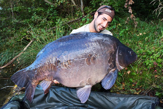 Ib Carptrack Liquid-Powder Paste Mkii - Monster's Paradise- 180 G