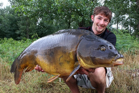 Ib Carptrack Birdfood Banana Mix