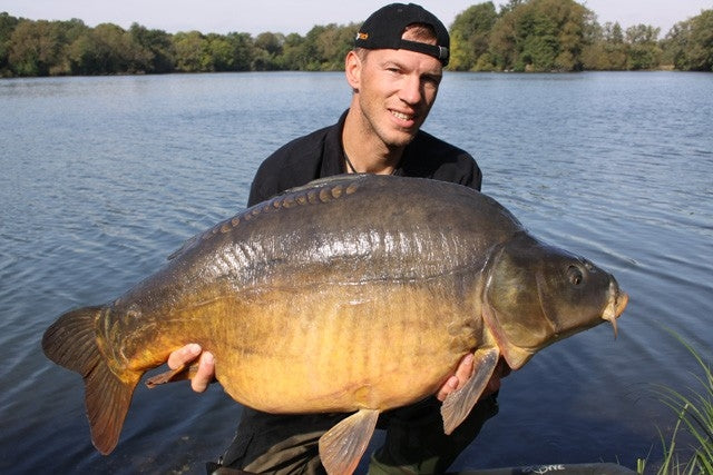 Laden Sie das Bild in Galerie -Viewer, Ib Carptrack Elite Mix
