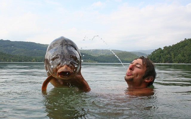 Carica immagine in Galleria Viewer, IB Carptrack Liquid Amino - Miscela Liquida di Aminoacidi per Carpfishing
