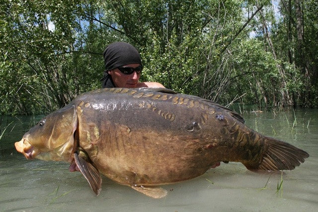 Laden Sie das Bild in Galerie -Viewer, Ib Carptrack Monster/Liver Boilie
