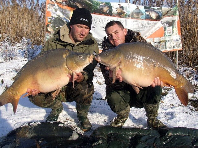 Laden Sie das Bild in Galerie -Viewer, Ib Carptrack Monster/Liver Mix Acque Fredde (Cold Water)
