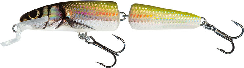 Carica immagine in Galleria Viewer, Salmo Fanatic Floating 7cm
