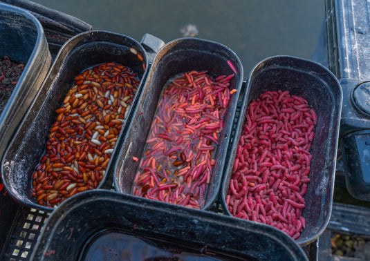 Guru Bait Box 1.1 Pint - Portaesche con Coperchio Forato