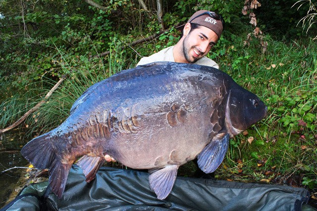 Carica immagine in Galleria Viewer, Ib Carptrack Liquid-Powder Paste Mkii - Scopana.Love - 180 G
