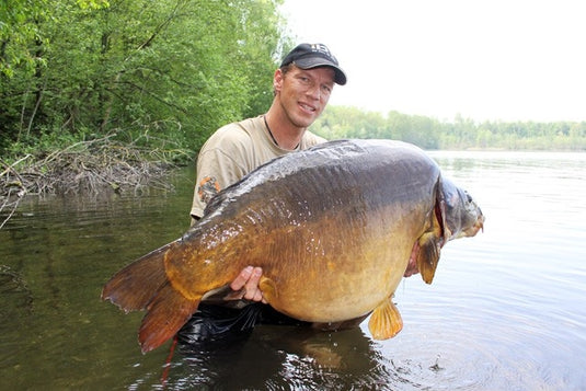 Ib Carptrack Elite Boilie