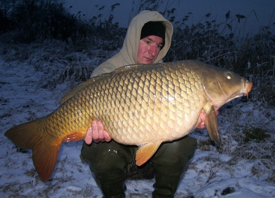 Ib Carptrack Monsters Paradise Boilie Acque Fredde (Cold Water)