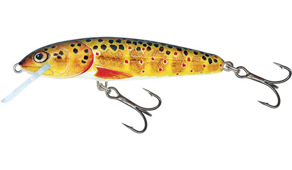 Chargez l'image dans la visionneuse de la galerie, Salmo Minnow Flottant - 5cm
