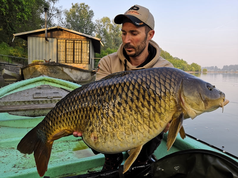 Laden Sie das Bild in Galerie -Viewer, Ib Carptrack Elite Mix
