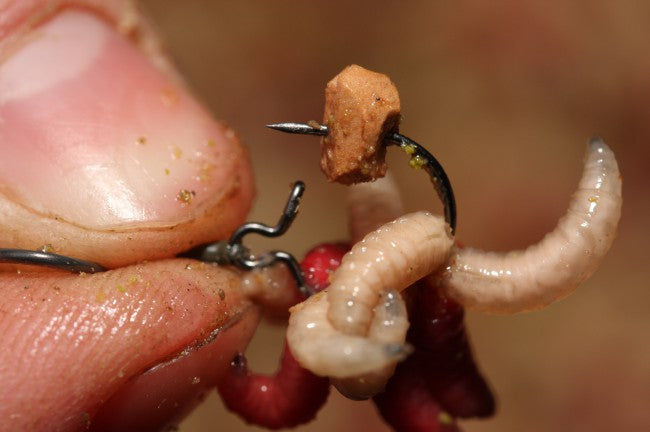 Laden Sie das Bild in Galerie -Viewer, Korda Maggot Klip
