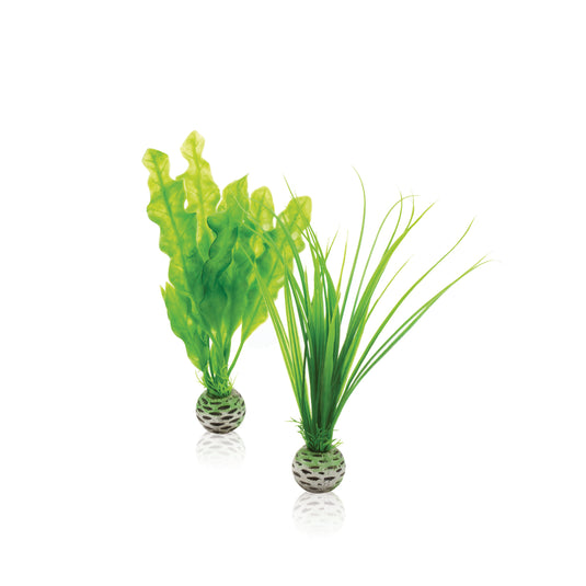 BiOrb Kit de plantes S vertes