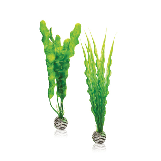 BiOrb Kit Plantes M Vertes