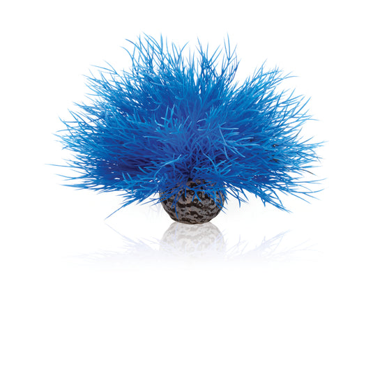 BiOrb Giglio Marino Blu Decorazione per Acquario