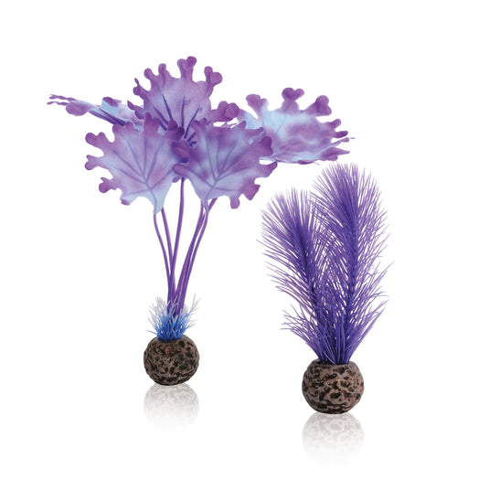 BiOrb Kit Fieno Marino S Porpora Decorazione per Acquario