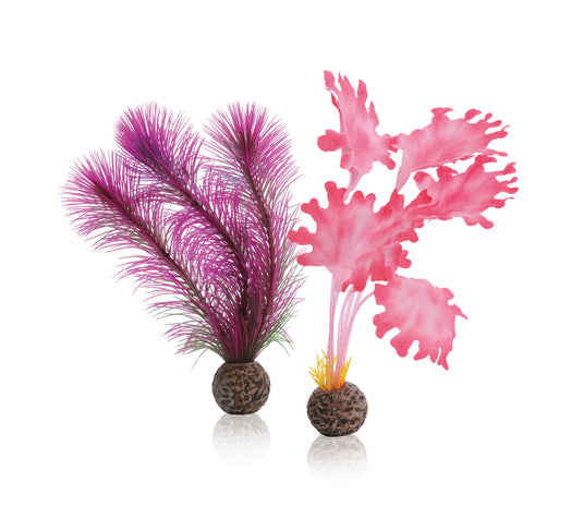 BiOrb Kit Herbe Marine S Rose Décoration pour Aquarium