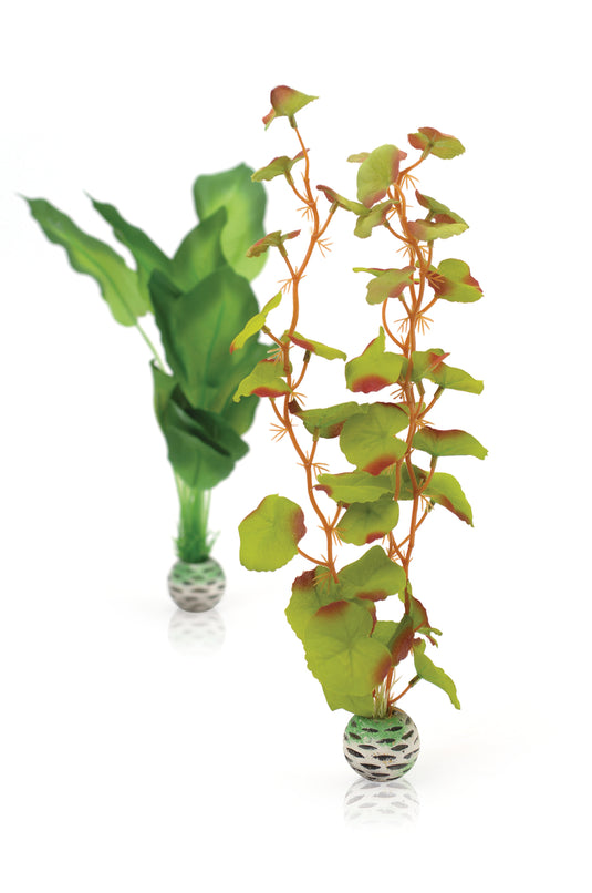 BiOrb Kit Plantes Soie M Vert