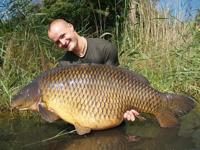 Chargez l'image dans la visionneuse de la galerie, Bouillette Ib Carptrack Big Fish
