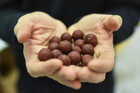Carp Factor Boilies High Quality Speedball