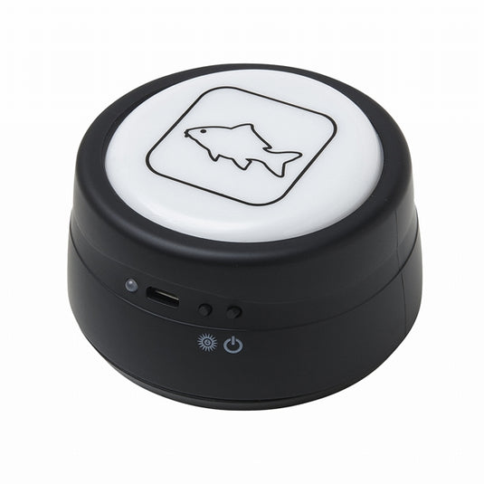 Prologic C-Series Pro Alarm Set - Avvisatori con Centralina e Bivvy Light